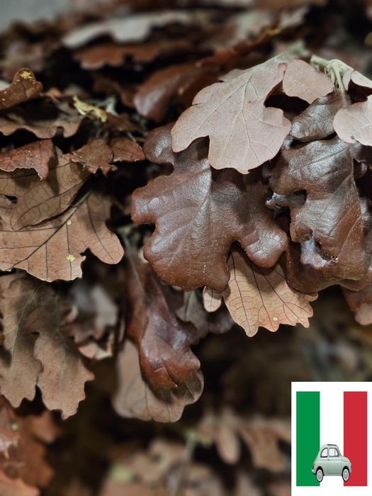 <h4>GESTABILISEERD EIK BURGUNDY</h4>