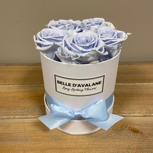 Box rd 12cm wit-lavendel