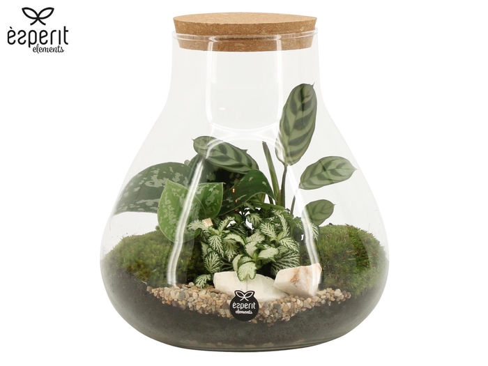 <h4>90078: Terrarium arrangement</h4>