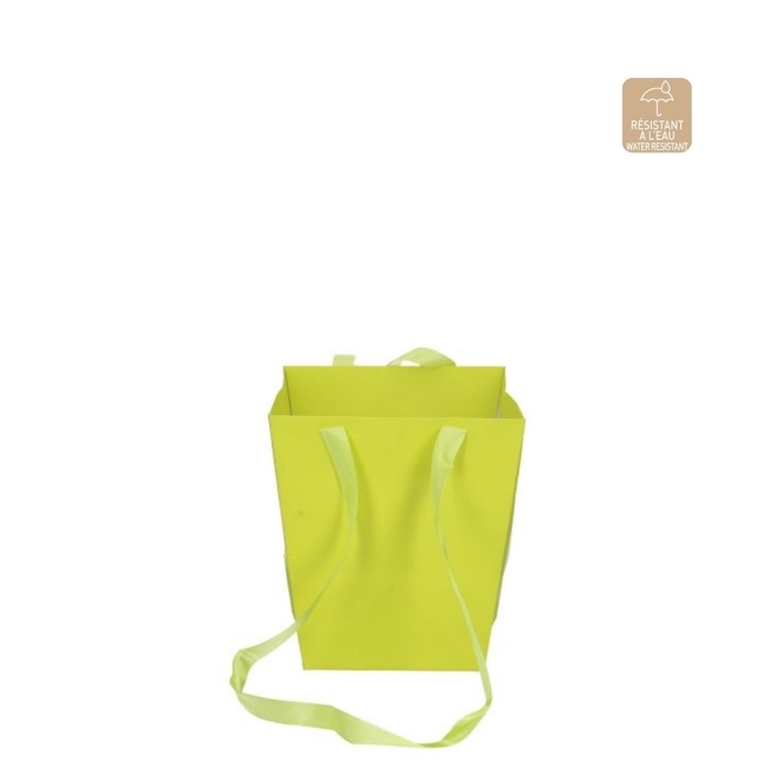 <h4>Bags Elegant 12.5/16.5*18cm</h4>