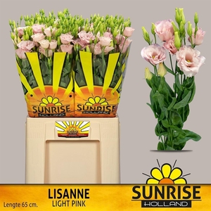 Eus G Lisanne L Pink