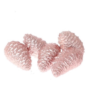 Pine cone Maritima wax closed 12cm x5