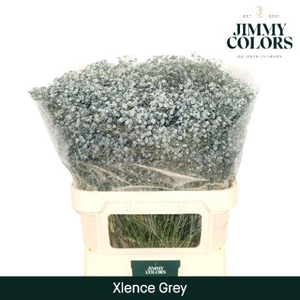 Gyps Xlence L80 Grey