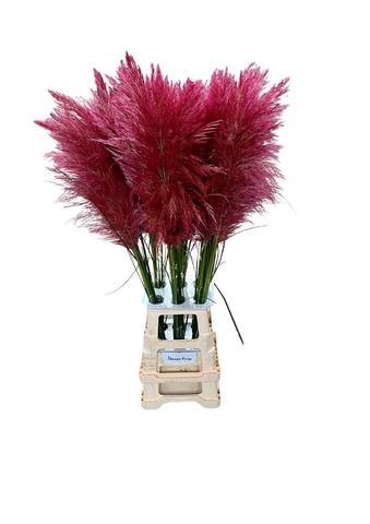 <h4>CORTA SELLOAN OLD PINK</h4>