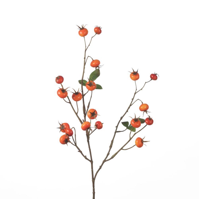 <h4>AF Rosehip Pumpkin Sp L86cm Or</h4>