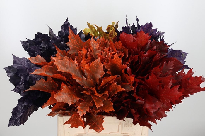 <h4>Eik Grof Herfst Mix</h4>
