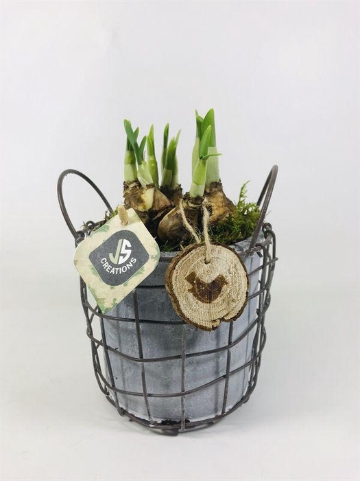 <h4>Metaal pot met Cement pot in 14 cm</h4>