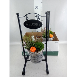 Arr. Tuinplanten L%