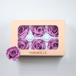 Rose Ines Lilac