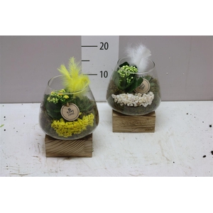 Arr 9640 Vaas Houten Voet