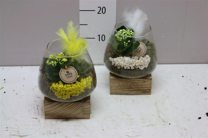 <h4>Arr 9640 Vaas Houten Voet</h4>