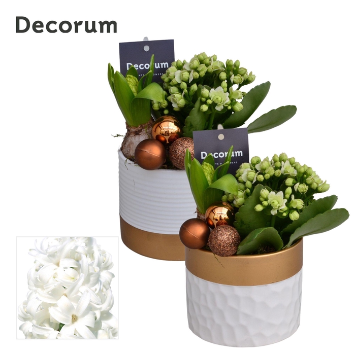 <h4>Calandiva & Hyacint Wit Goud Keramiek HL23222WP [BLACK & WHITE]</h4>