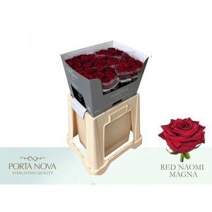 R GR RED NAOMI! MAGNA 60-34