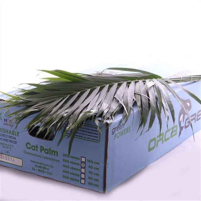 <h4>Decoratiegroen overig per bos</h4>