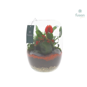 Green Bottle Isabella Large met arrangement