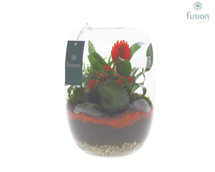 <h4>Green Bottle Isabella Large met arrangement</h4>