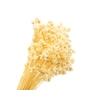 Hill Flower White Bleached