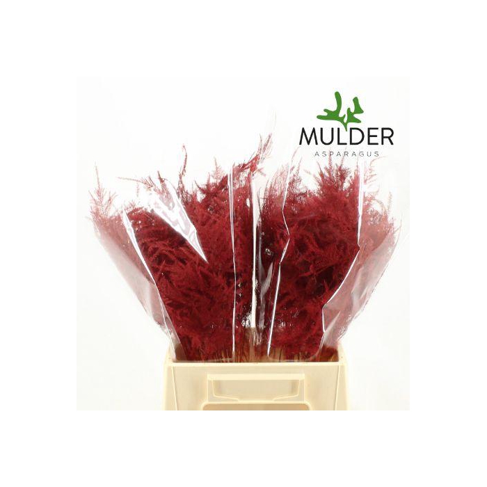 <h4>ASP OV KLB H%</h4>