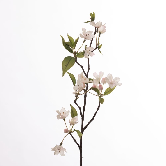 <h4>AF Apple Blossom L58cm White</h4>