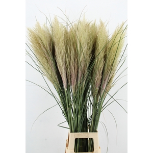 CORTA SE EVITA FRESH 120CM