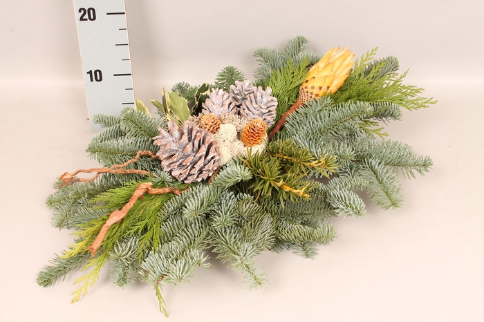 <h4>Natuur tak Gold/White 60/40T</h4>