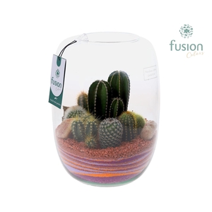 Green Bottle Isabella Large met zand arrangement