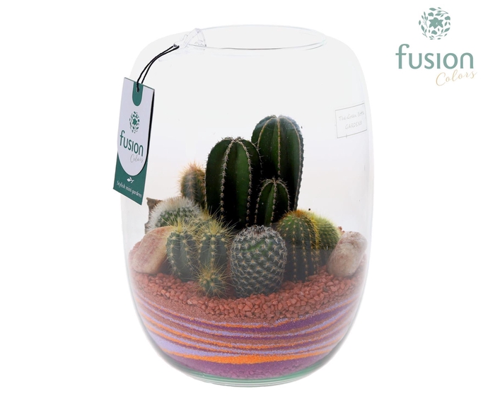 <h4>Green Bottle Isabella Large met zand arrangement</h4>