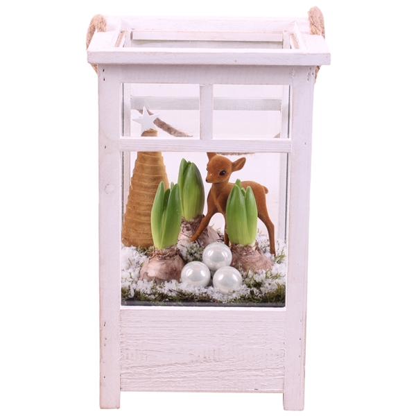 <h4>Christmas Arr.Hyacint Wooden Lantern pot White mix/3 ø19cm 3PP</h4>