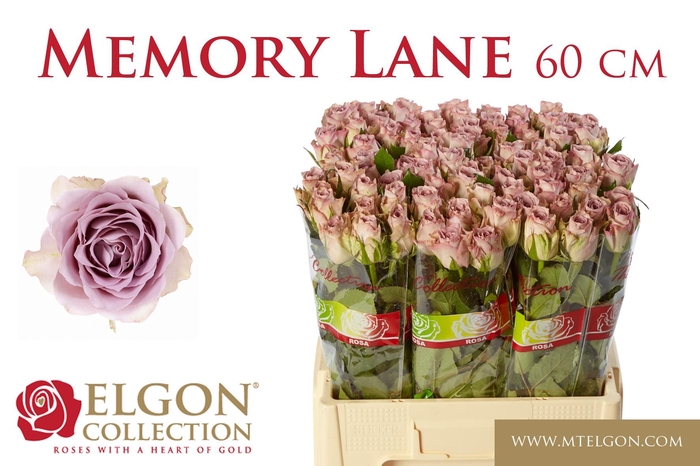 <h4>R GR MEMORY LANE!</h4>