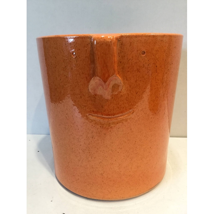 <h4>FACE POT  REACTIV ORANGE 24*24*24 CM</h4>