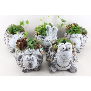 arr4 Semp JS - Dieren mix XL los