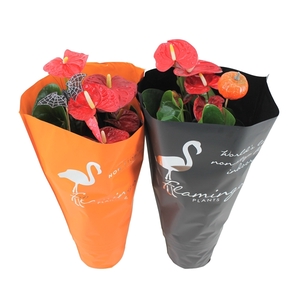 Anthurium Halloween decoratie mix 17cm