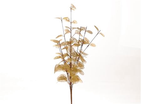<h4>BRANCH EUCA CINEREA L40W25 gold</h4>
