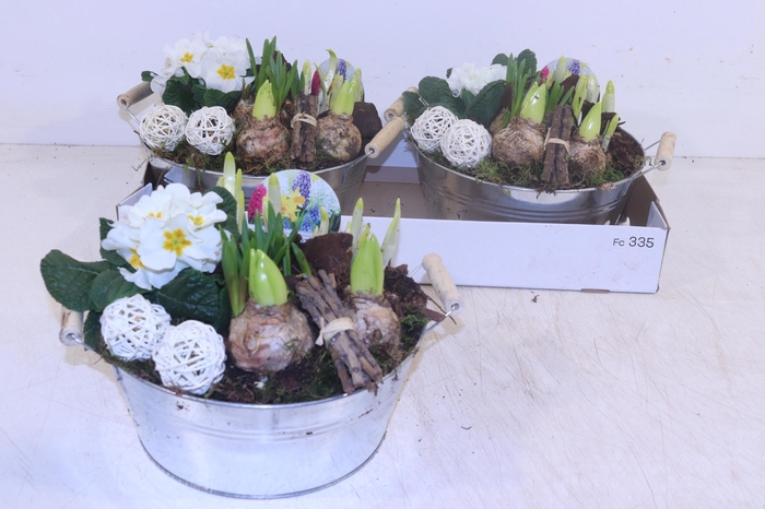 <h4>ARR TUINPLANTEN</h4>