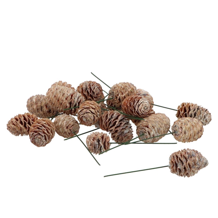 <h4>Pick Nature Pinecone Murri White P/100</h4>