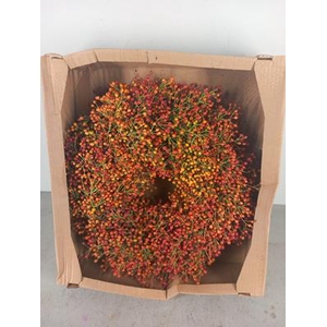 Wreath Rosa Corallo Orange