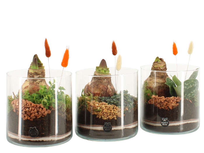 <h4>41590: Treasure time arrangement</h4>