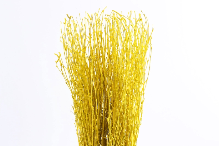 <h4>Berk Klb Yellow</h4>