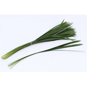 Liriope Green Per Bunch 5st