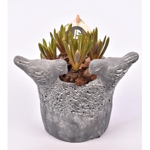 Cement vogelpotje grijs 12cm