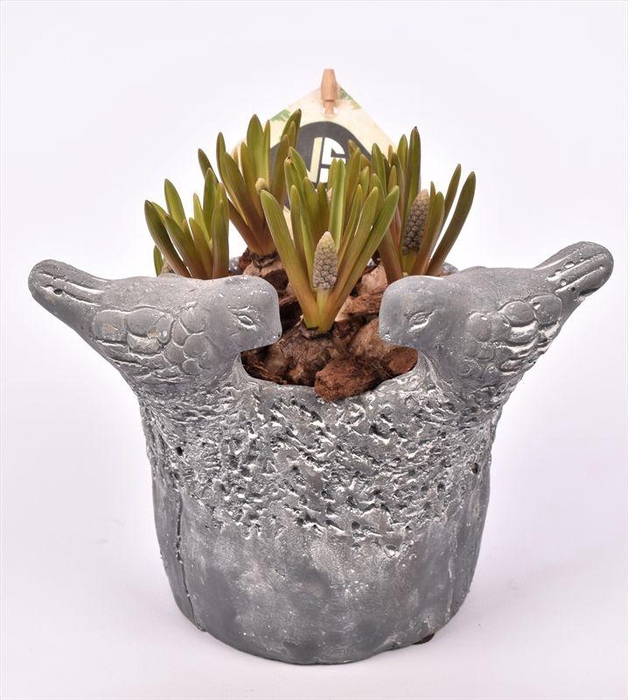 <h4>Cement vogelpotje grijs 12cm</h4>