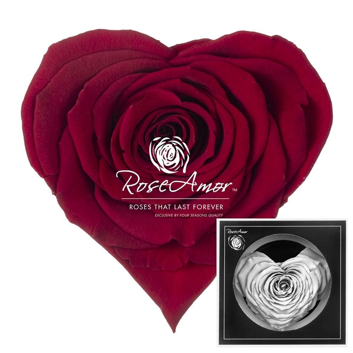 <h4>Corazon Red01</h4>