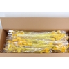 DF Dipsacus Yellow Bs 130g