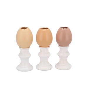 Easter Egg Trophy Natural Brown Mix Vase Ass 6x6x13cm Nm