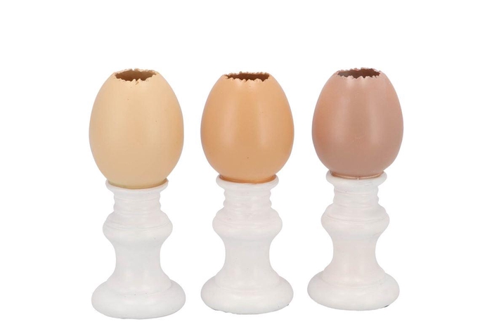 <h4>Easter Egg Trophy Natural Brown Mix Vase Ass 6x6x13cm Nm</h4>