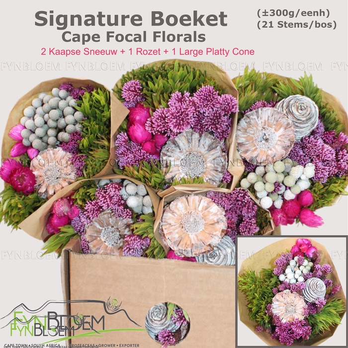 <h4>KAAPS GROE GEM IN BS</h4>