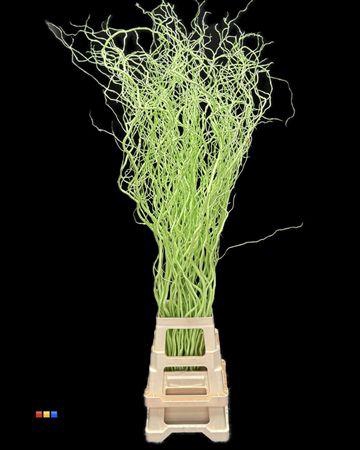 <h4>Salix 130cm Lime Green</h4>