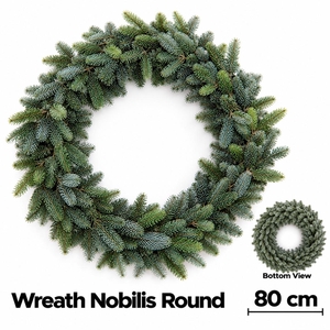 ABIES NOBILIS BLAUW