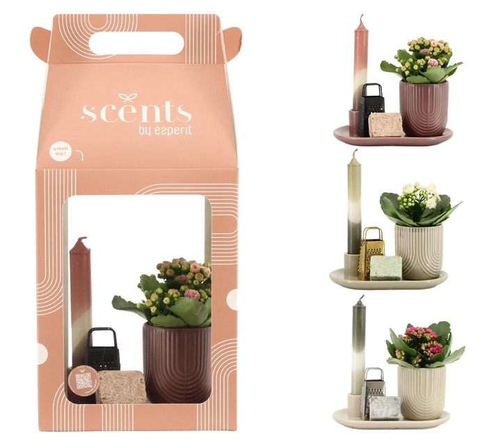 <h4>90759: Scents arrangement</h4>