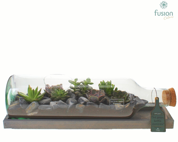 <h4>Green Bottle Fles Large liggend met Succulenten</h4>